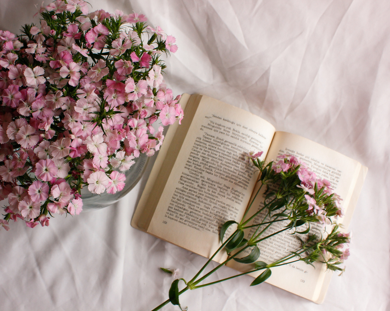 Pink Flowers and a Book